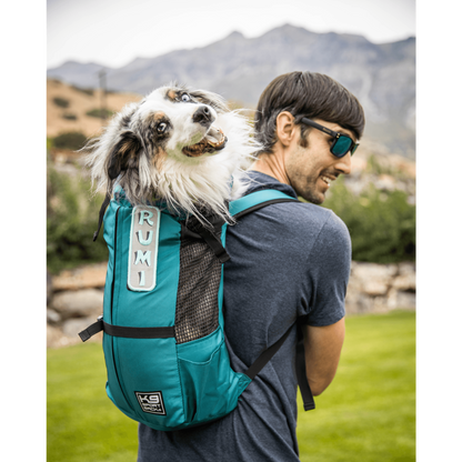 K9 Sport Sack Trainer