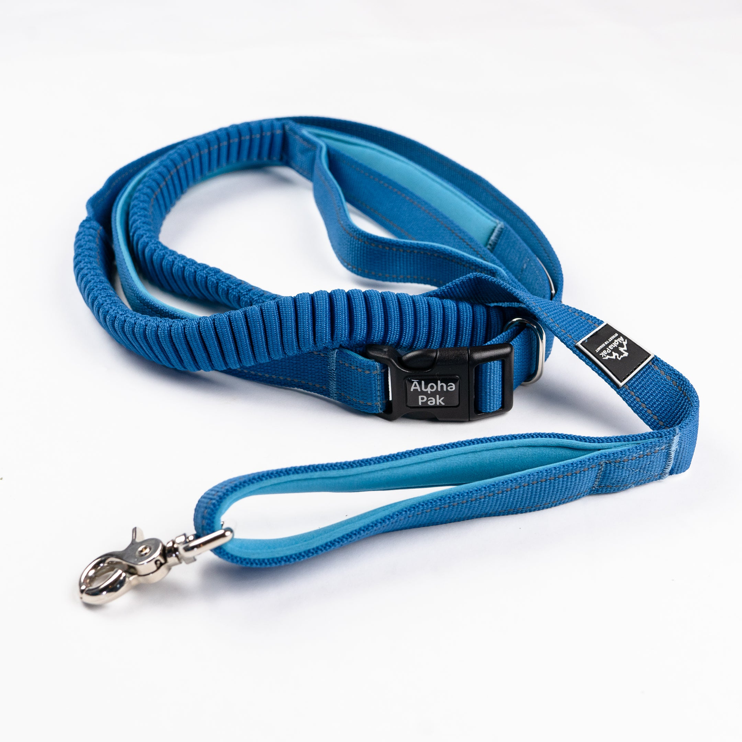 Cascades Metallic Blue Stretchable Runner Dog Leash