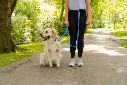 Cascades Metallic Blue Stretchable Runner Dog Leash