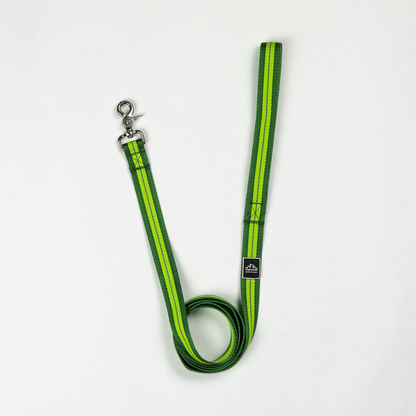 Appalachian Kiwi Green Flat Dog Leash