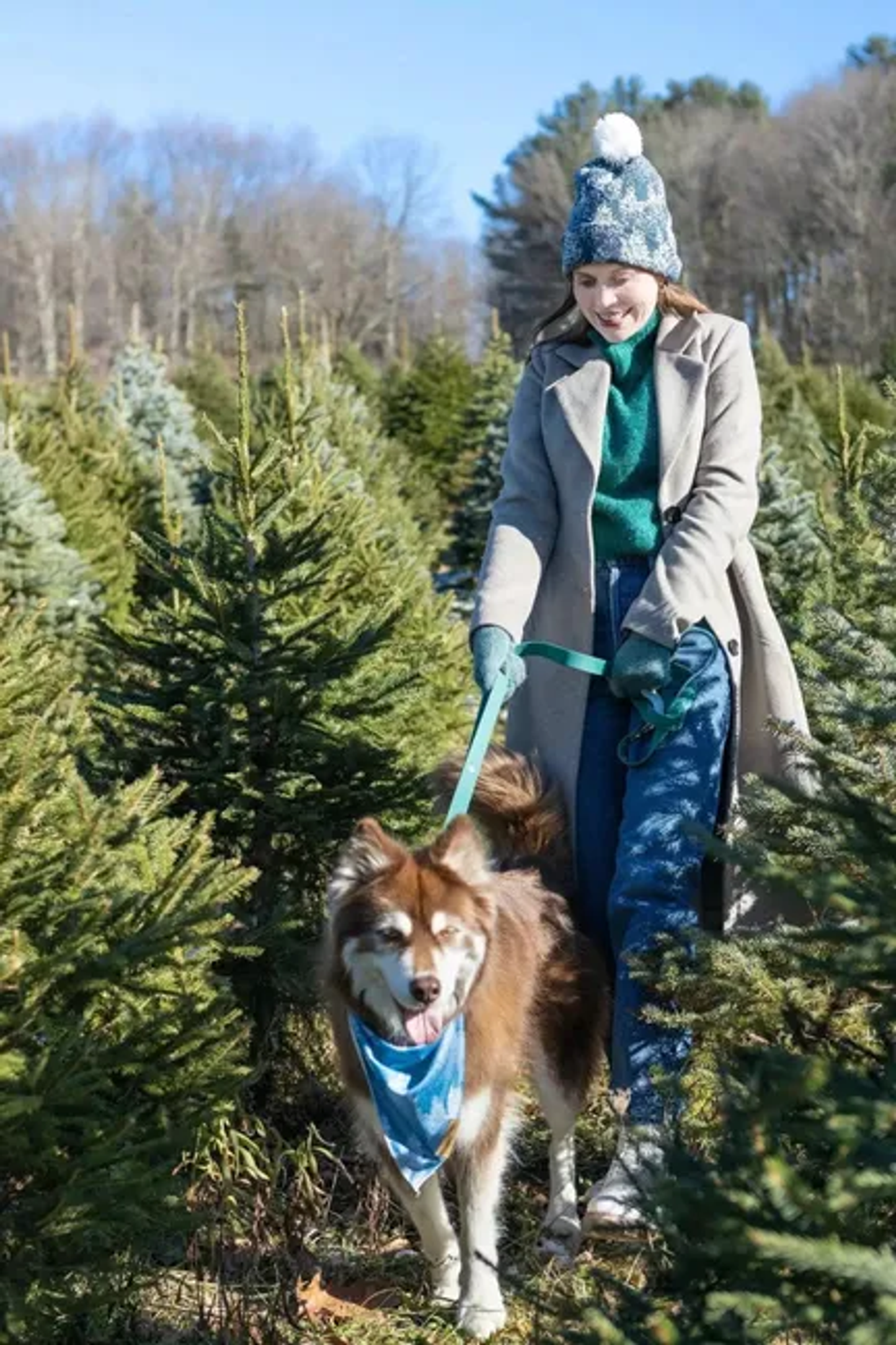 Siberian Spruce Waterproof Dog Leash