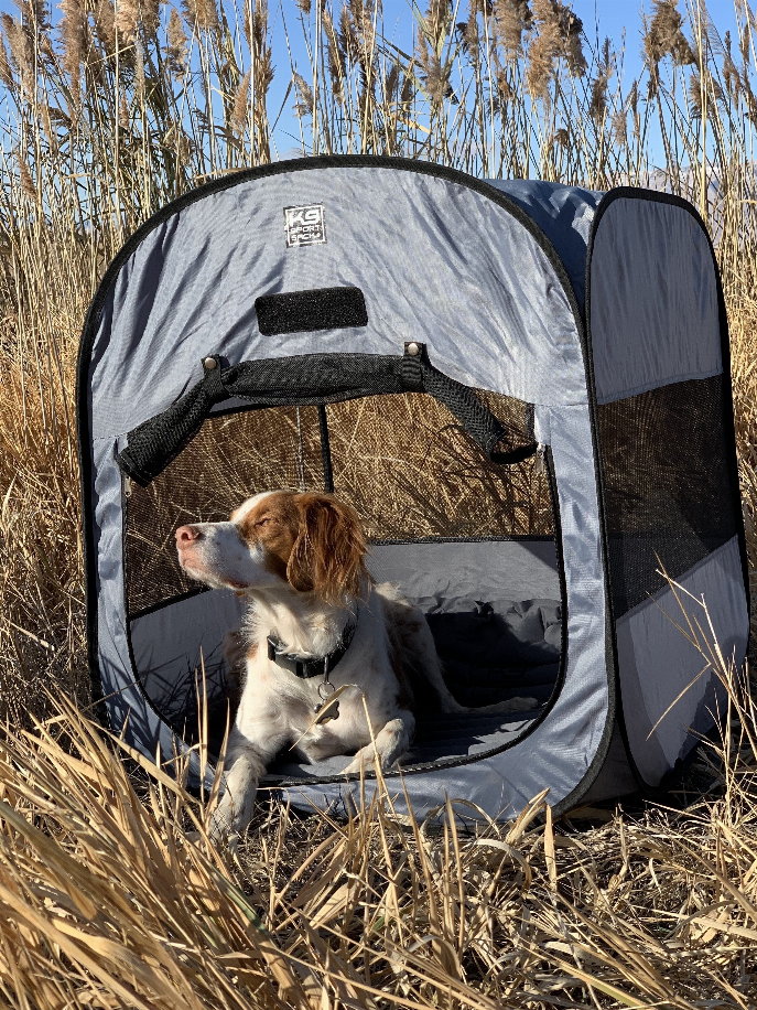 K9 Kennel Pop-Up Dog Tent