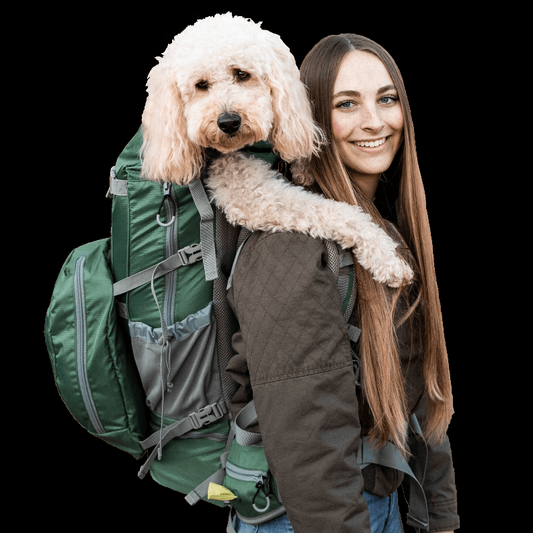 Kolossus | Big Dog Carrier & Backpacking Pack