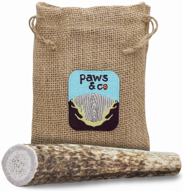 Whole Antler Chew