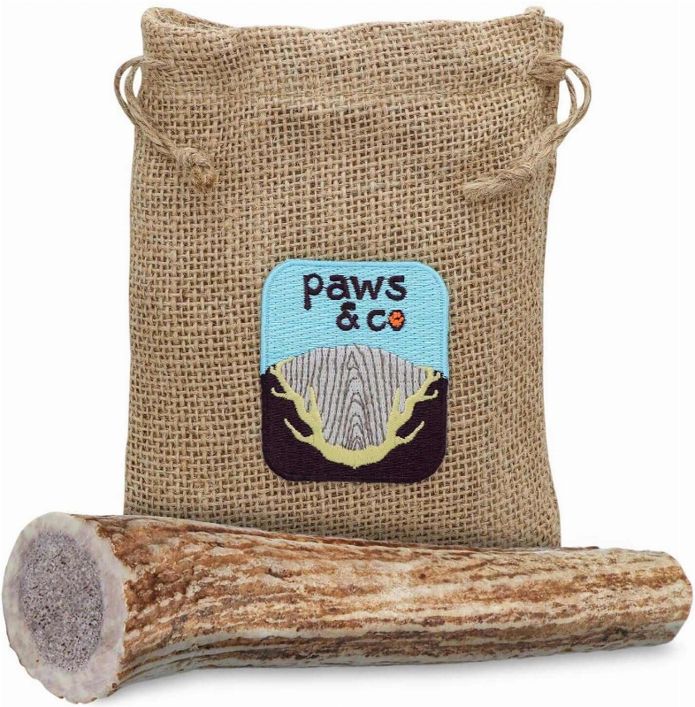 Whole Antler Chew
