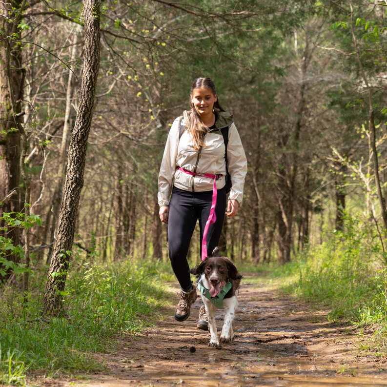 Cascades Plum Boysenberry Stretchable Runner Dog Leash