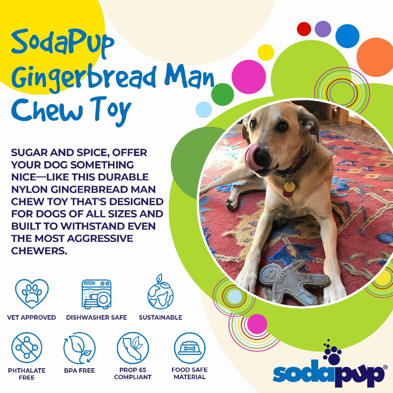 SP Gingerbread Man Ultra Durable Nylon Dog Chew Toy for Aggressive Chewers