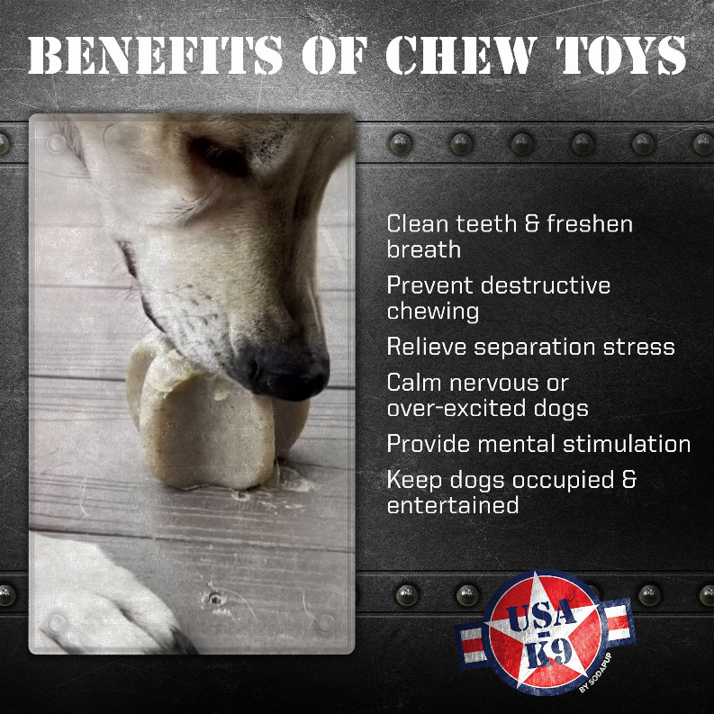 Durable Nylon Star Dog Chew Toy and Enrichment Toy for Aggressive Chewers