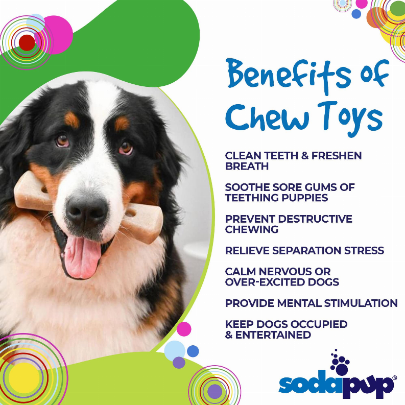 SP MOD Bone Ultra Durable Nylon Dog Chew Toy for Aggressive Chewers