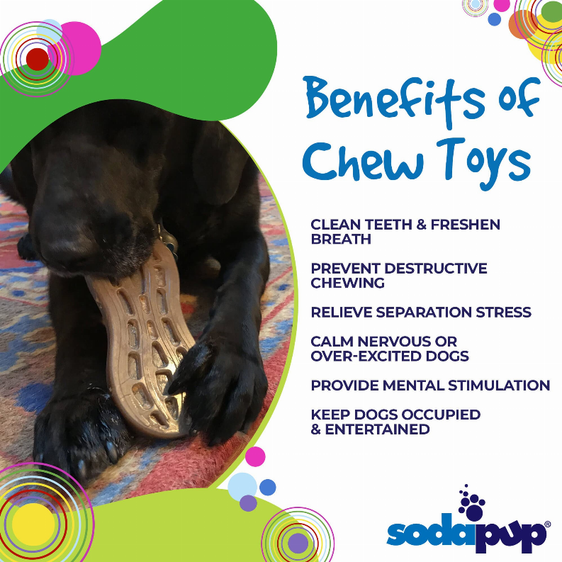 SP Peanut Ultra Durable Nylon Dog Chew Toy for Aggressive Chewers